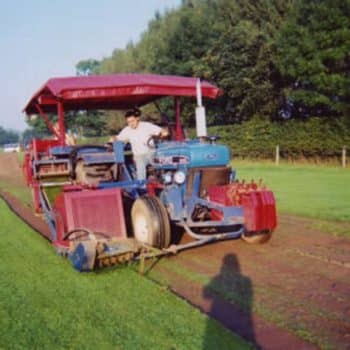 commercial turf