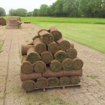 commercial turf rolls