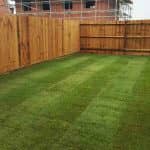 Image of the garden after the work