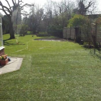 garden turf