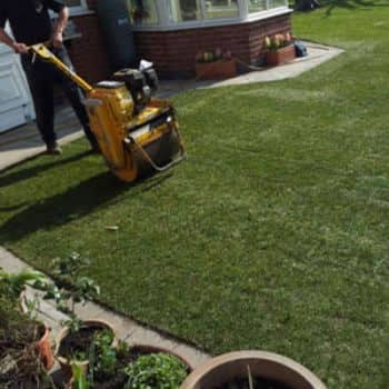 garden turf