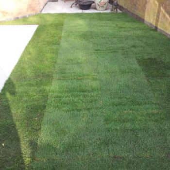 garden turf