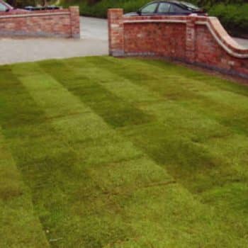 garden walling