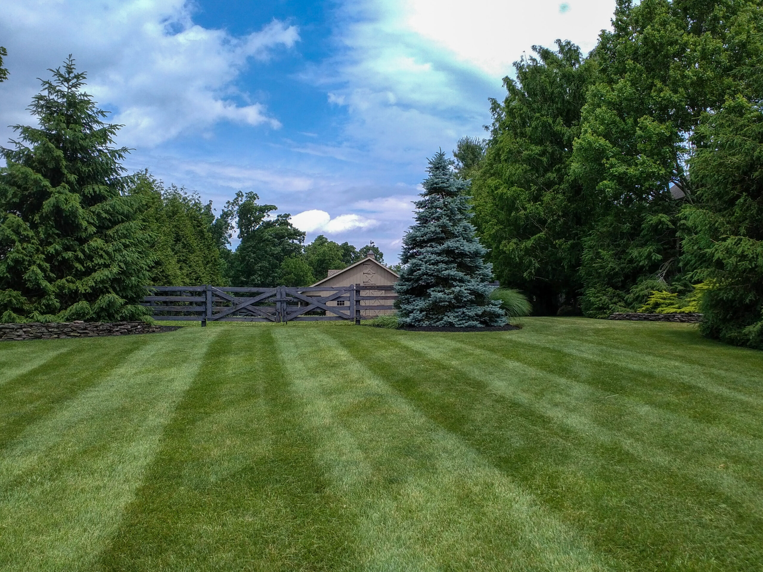 How to Mow Stripes In Your Lawn